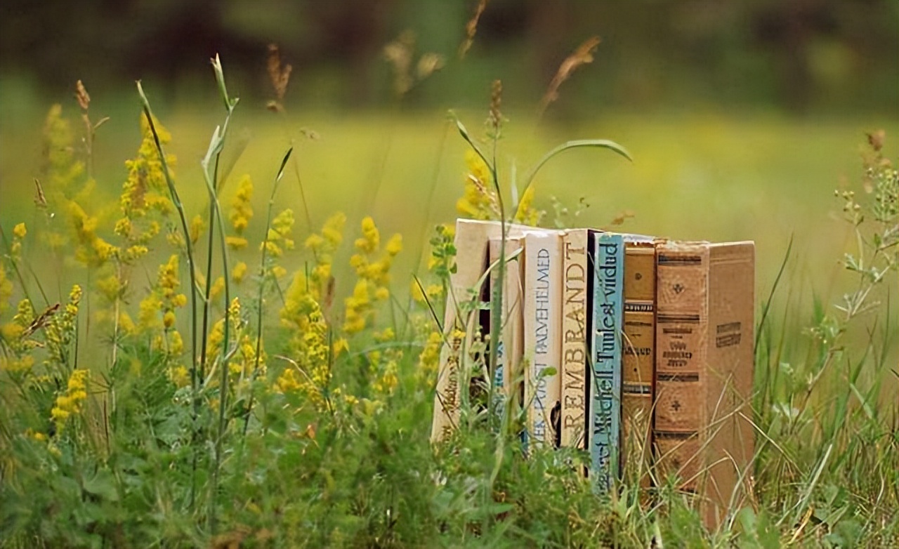 报复一个人最好的行为,任何时候不要撕破脸不要报复