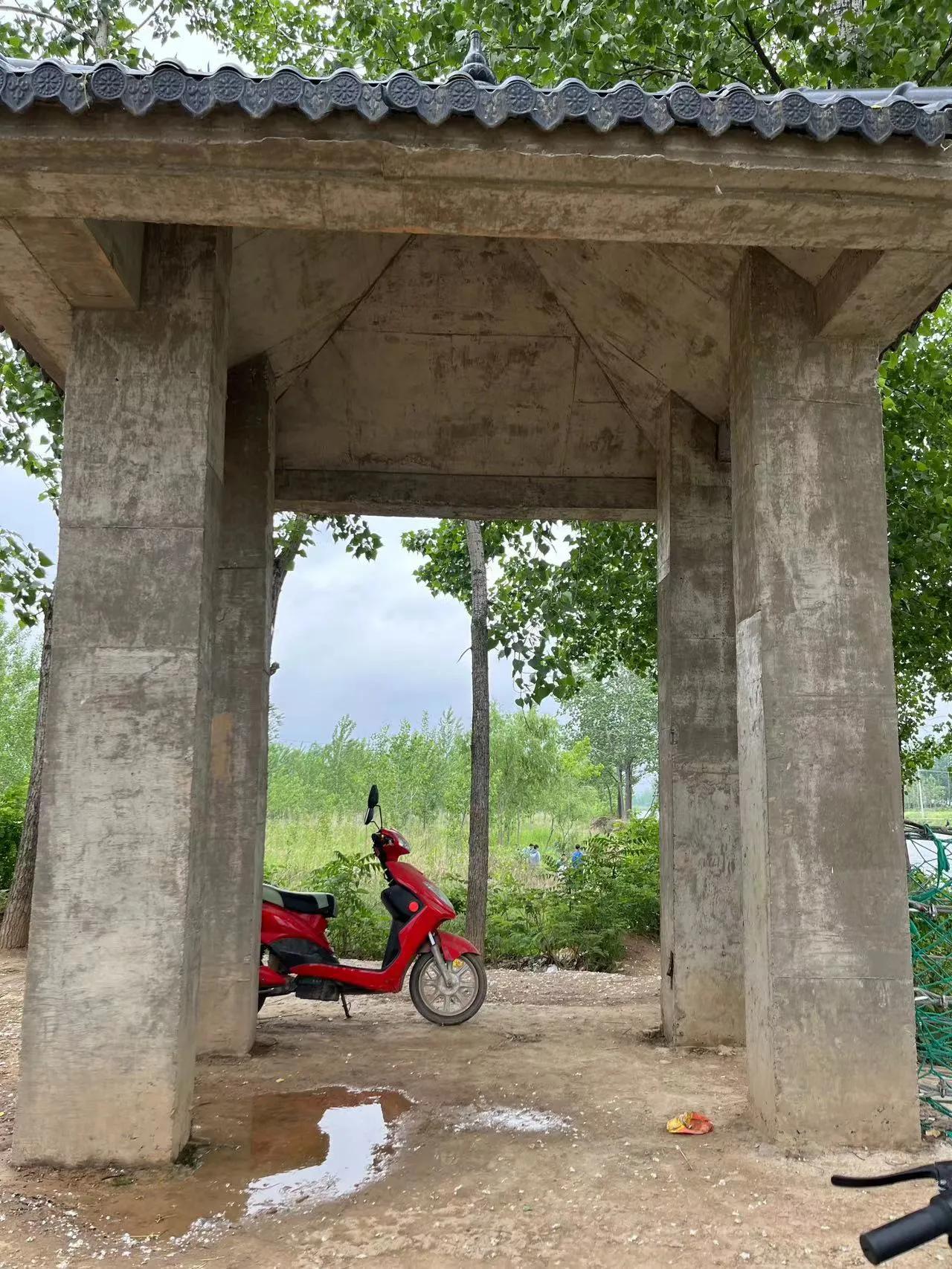 别问什么价,就是喜欢她