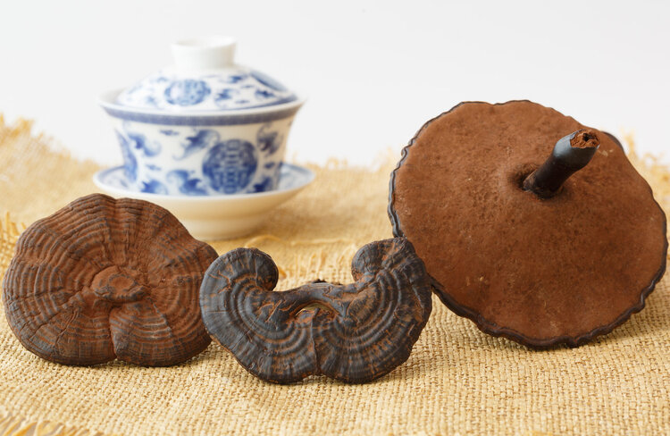 癌症患者如何吃破壁灵芝孢子粉,灵芝孢子粉对癌症有功效吗