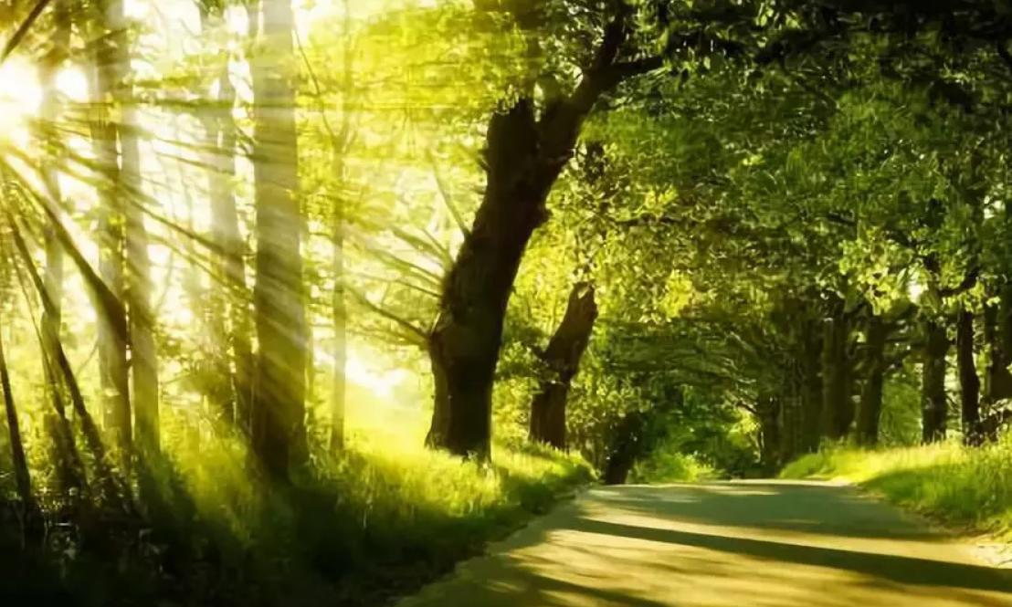 家里有三象预示什么,俗语家中有三象