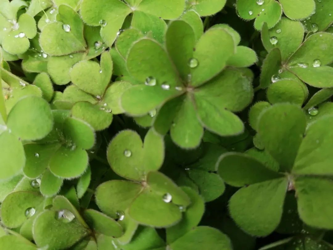 那就好好告个别吧，用你们最难忘的Moment