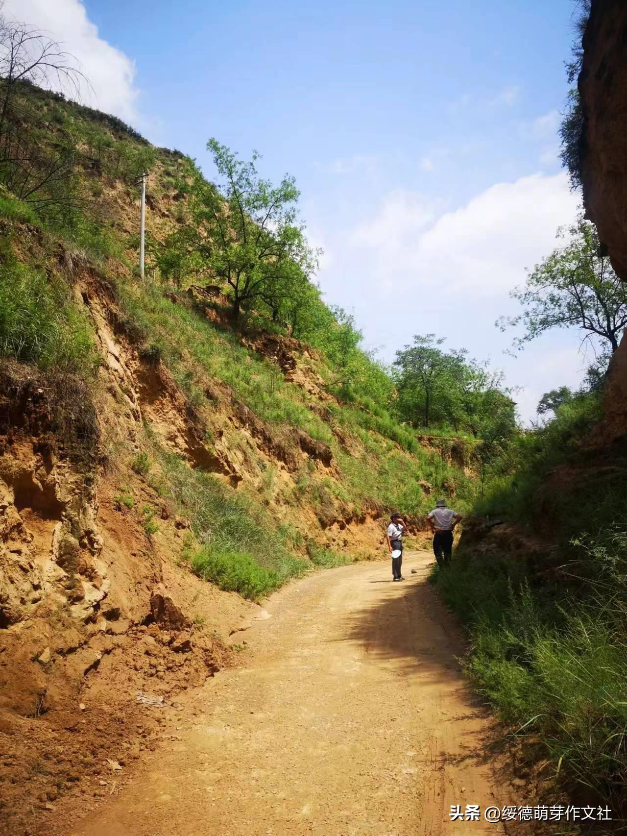 绥德李强国：从高舍硷到高石角