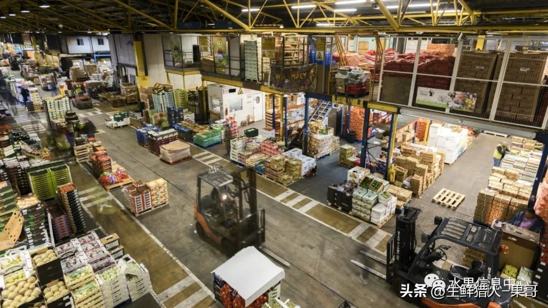 世界第一果蔬批发市场,中国十大果蔬批发市场