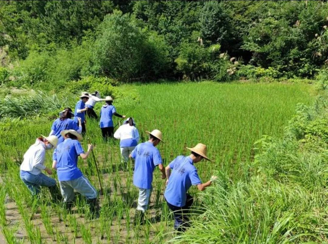 地笼捕黄鳝十大绝招,地笼捕黄鳝选择塘沟哪个位置最好