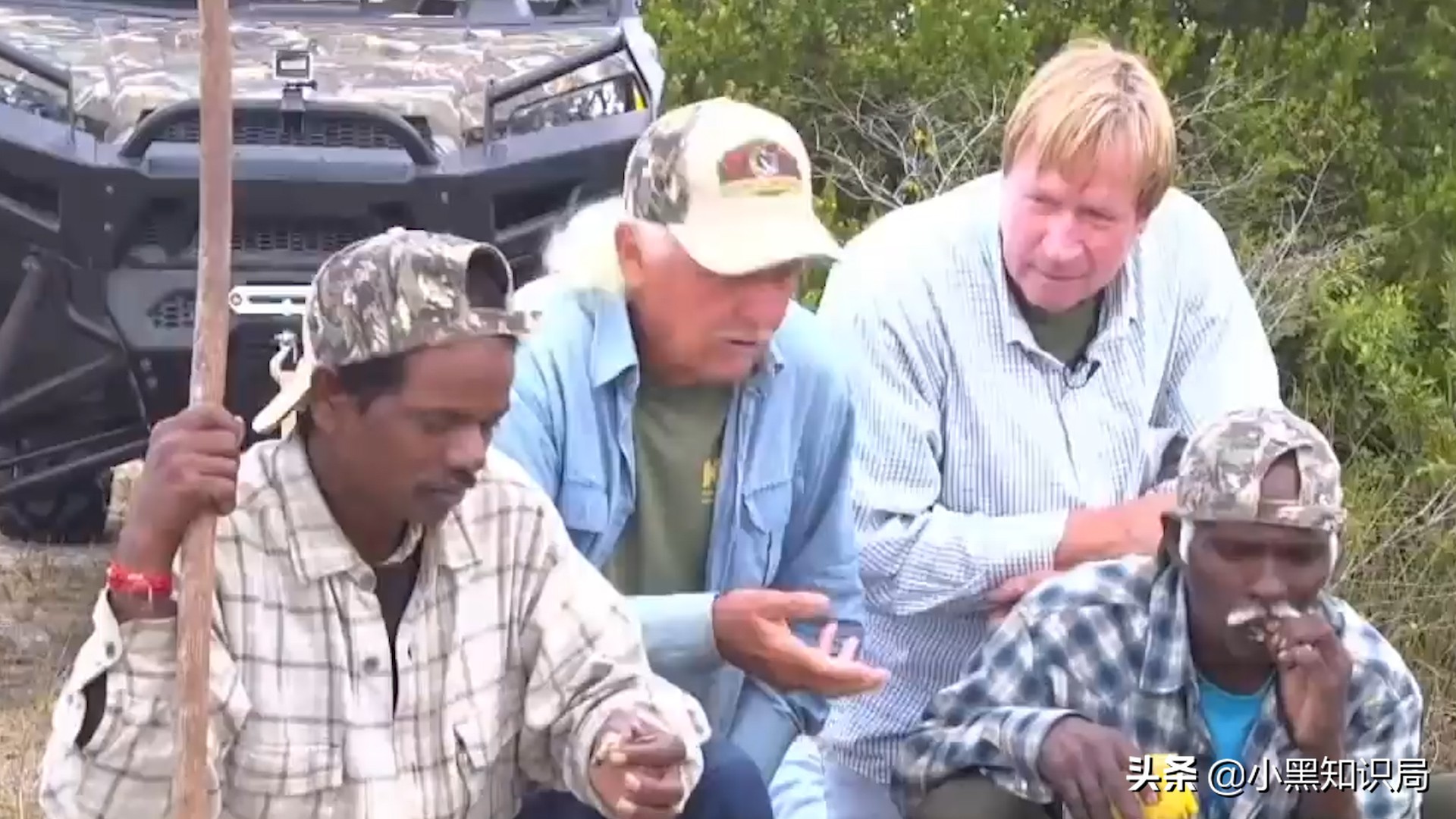 美国再遭生物入侵，30万只缅甸蟒泛滥成灾，最大能长9米，400斤重
