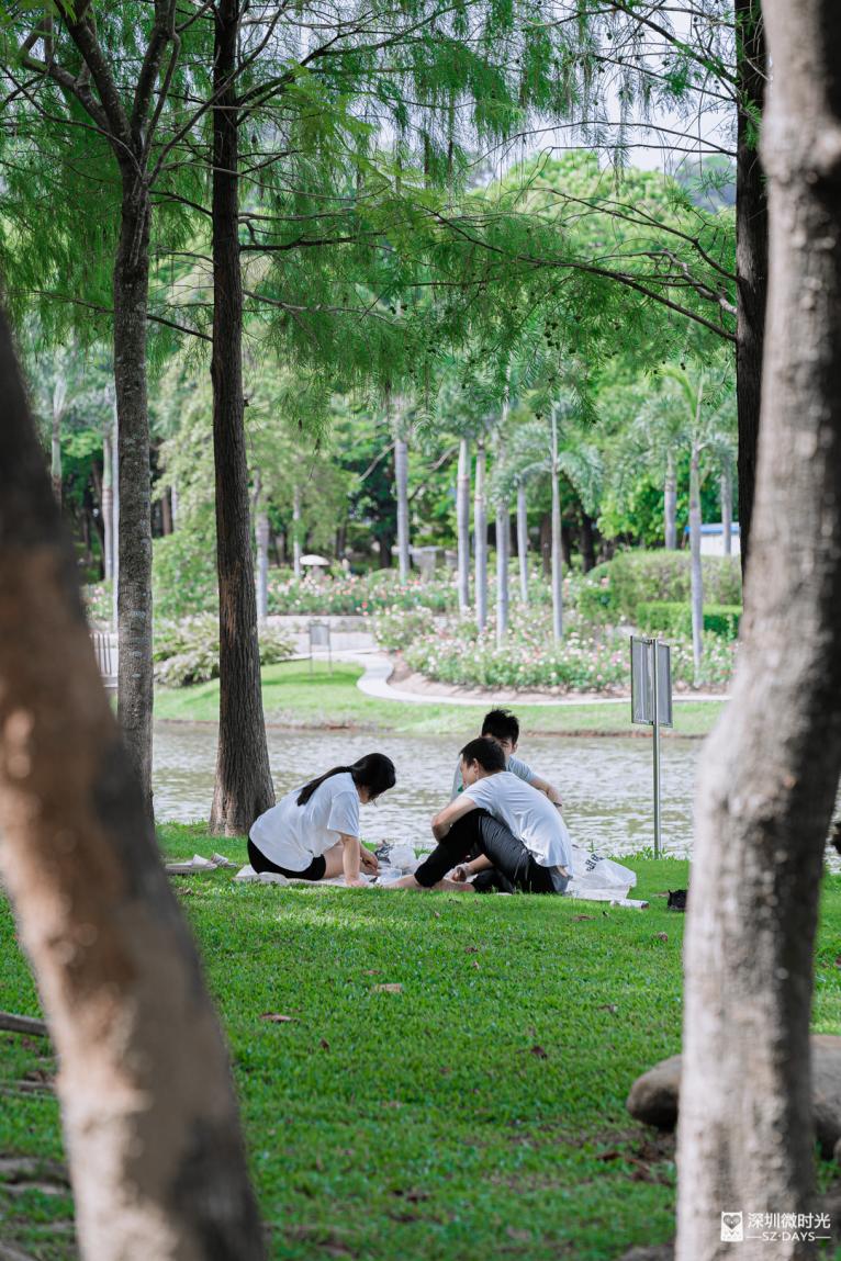 14号地铁有没有到坪山高铁站,坪山14号线转10号地铁图