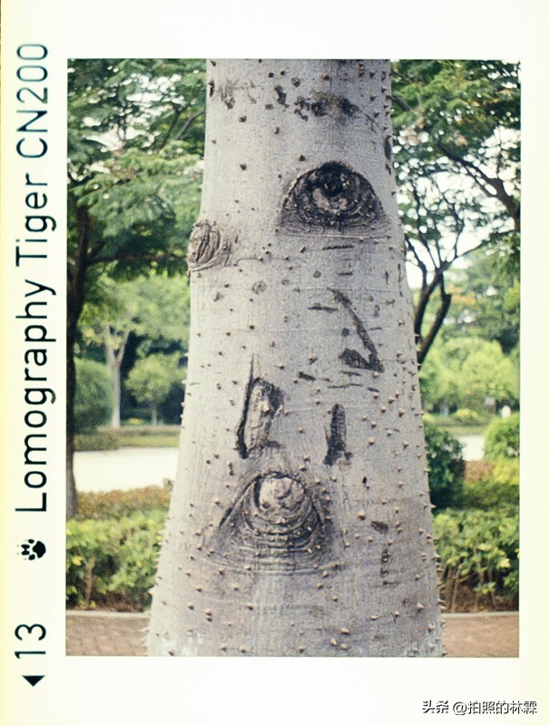 110胶卷/相机保姆级教程/相机选择/胶卷选择/冲扫店铺/实拍样片