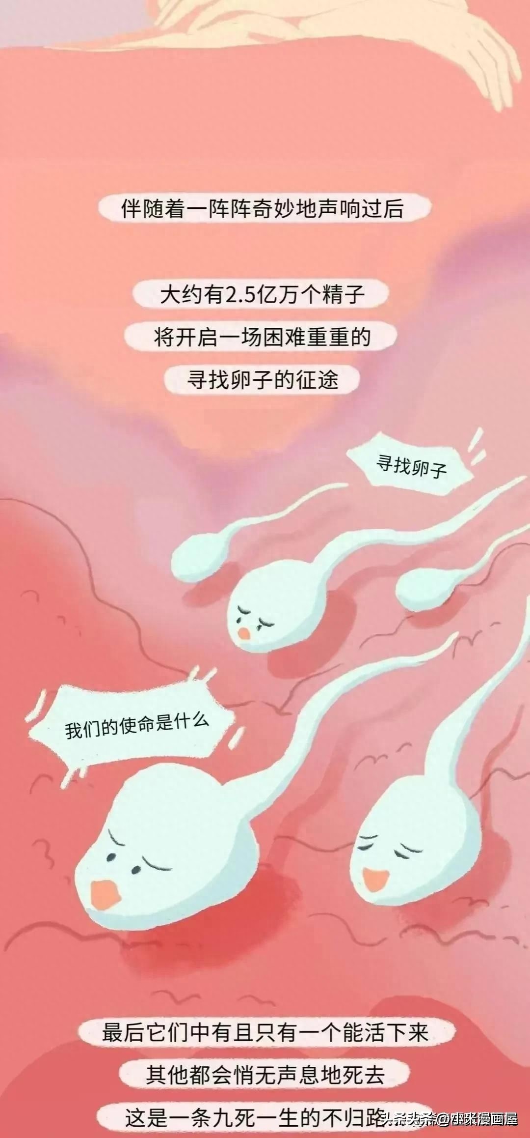 小蝌蚪找妈妈故事完整漫画,漫画中小蝌蚪是什么