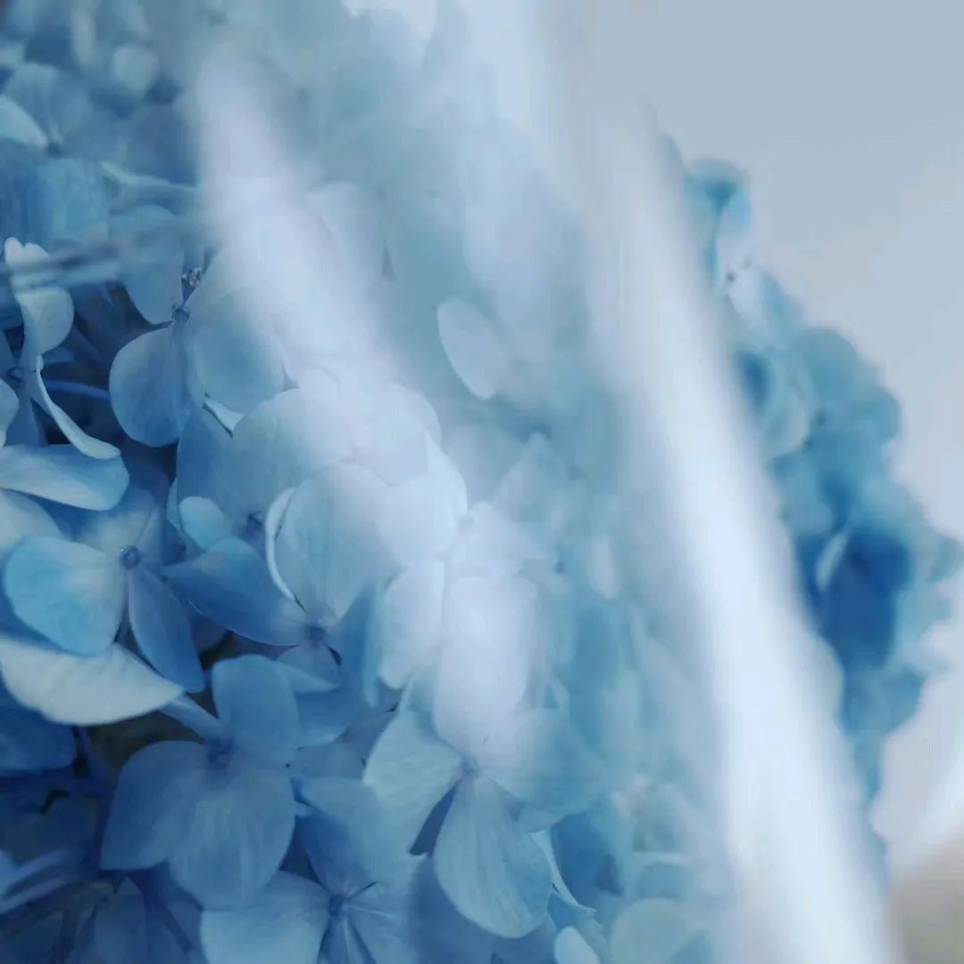 或许无疾而终的感情才值得被怀念,目前为止所有的感情都是无疾而终