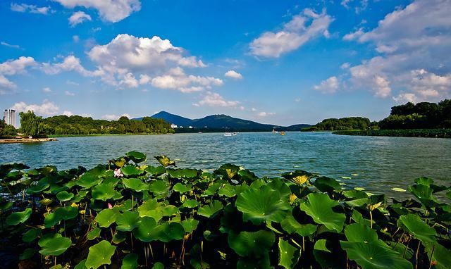 江南三大名湖玄武湖,南京玄武湖和杭州西湖人文景观