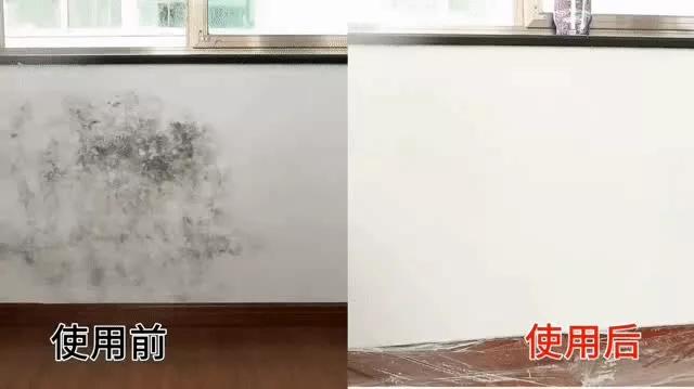 墙体发霉维修,墙皮脱落发霉维修要多少钱