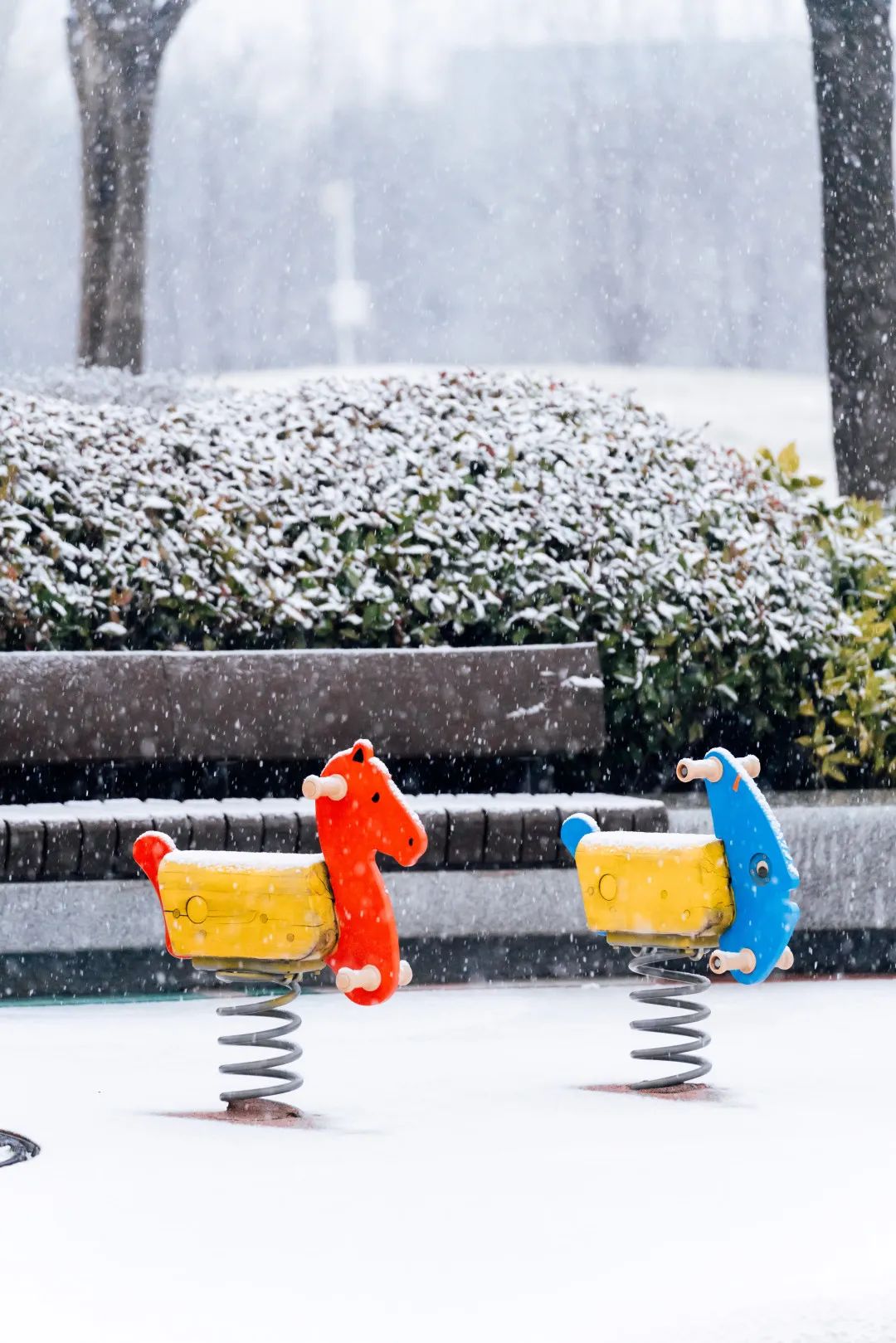 跟随邻里撰稿人，走进治愈力Max的社区空间