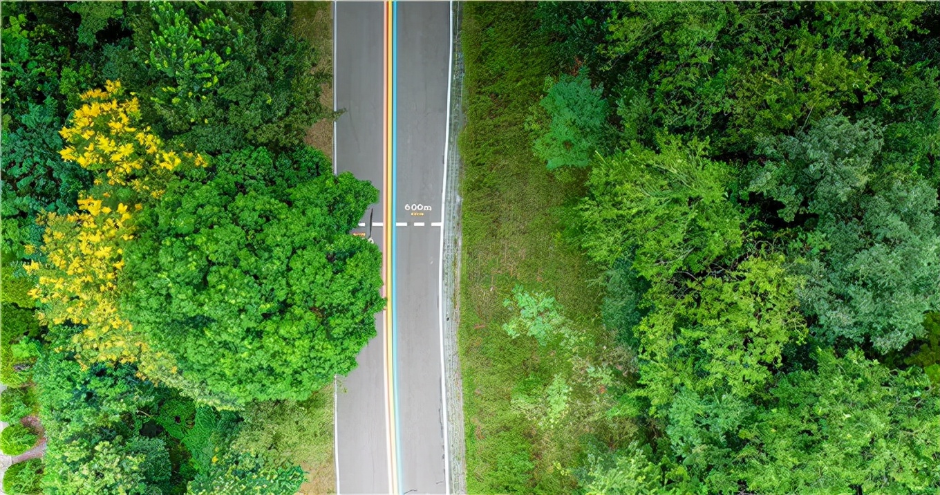极美汤山,这些绝美的健身步道