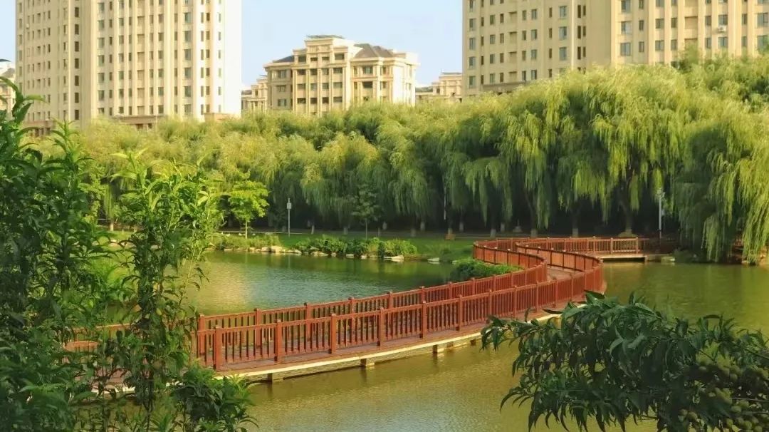 大外快讯|大连外国语大学2022年招生章程