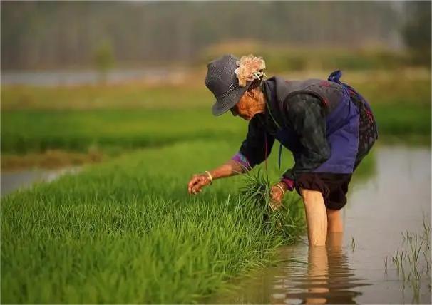 当我失恋了的时候该怎么办,我失恋了我很难过
