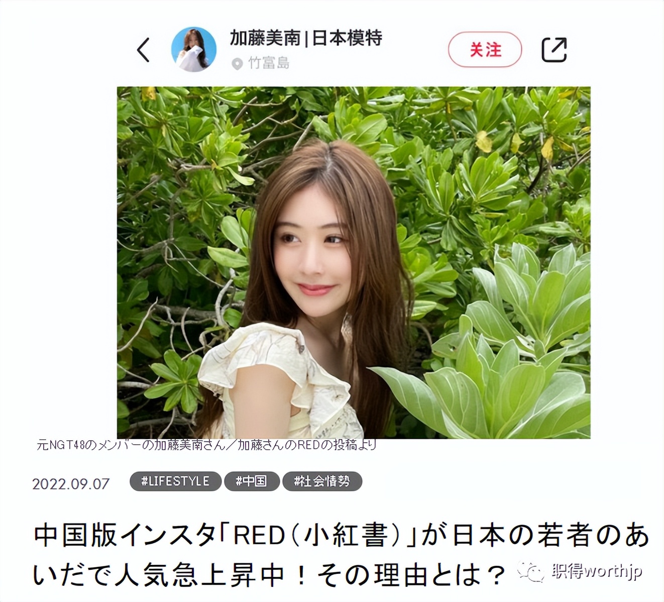 小红书那些离谱的广告,小红书中的广告是真的假的