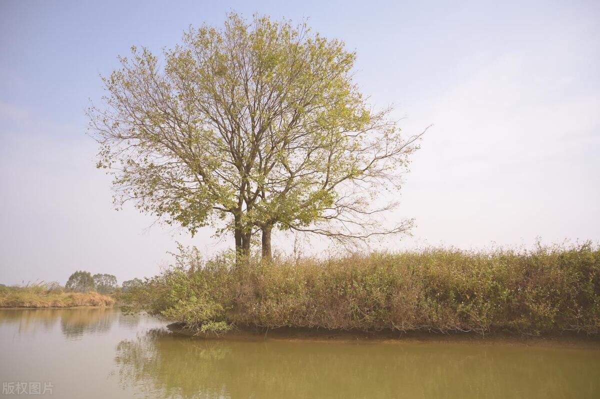 从广州佛山出发的旅游攻略,广州鹤山市旅游