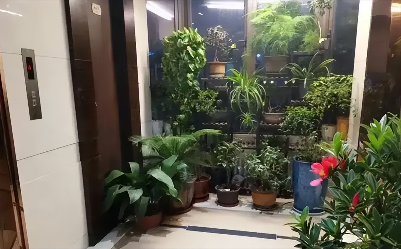 摊上这样的邻居,摊上这种邻居