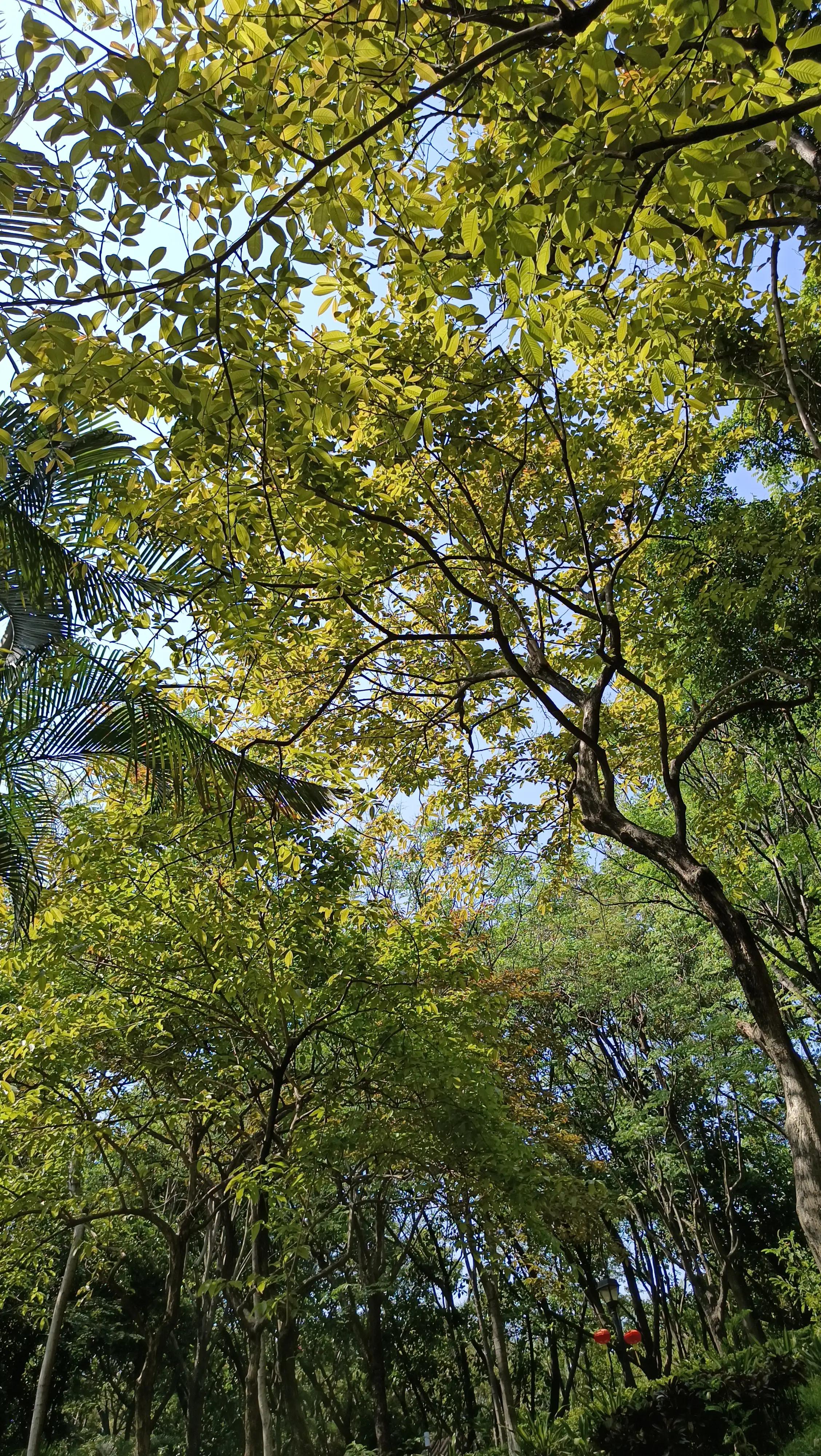 我的爱好日语作文200字,日语作文我的兴趣爱好是旅行