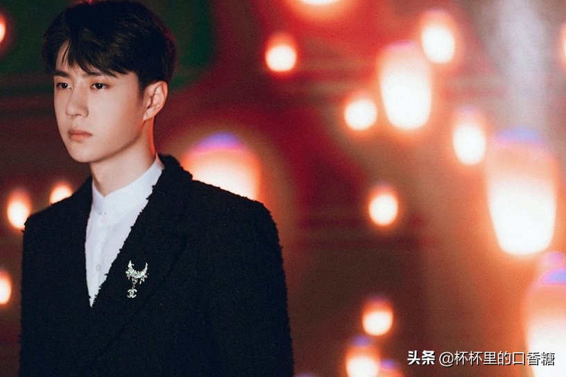 罗云熙王一博杨洋,十大美男罗云熙和王一博