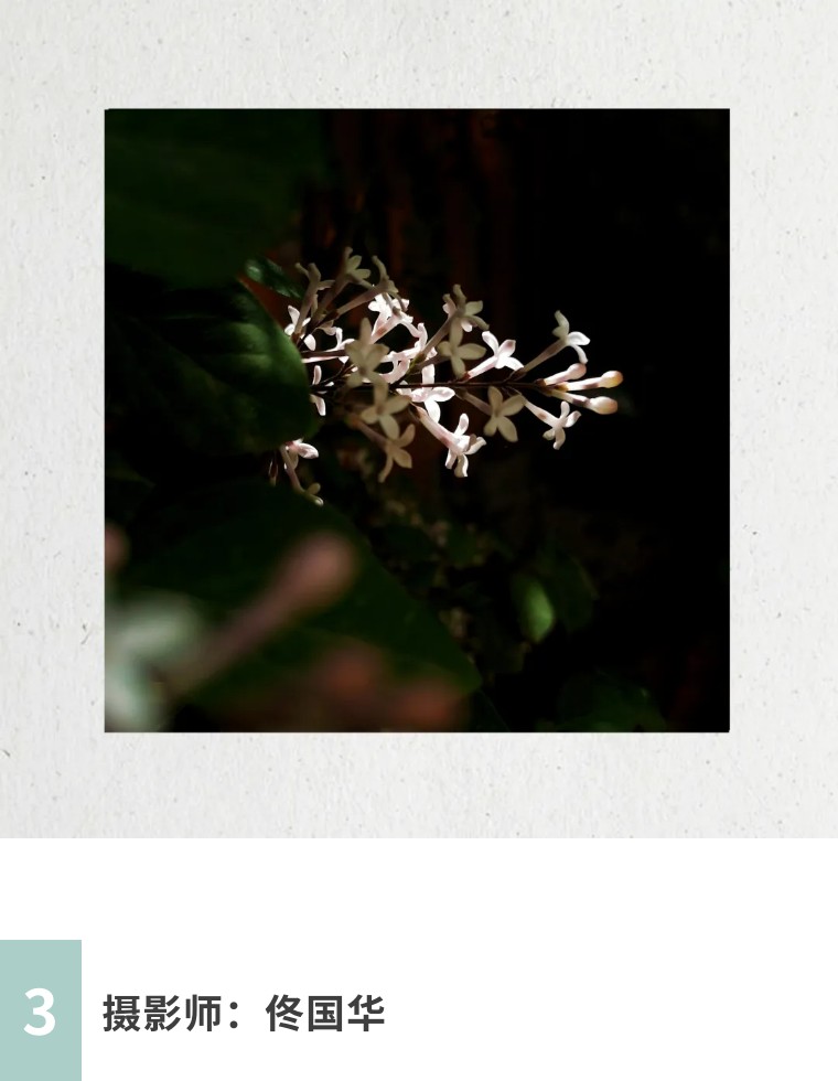 摄影图片二次构图,一张照片二次构图就会眼前一亮