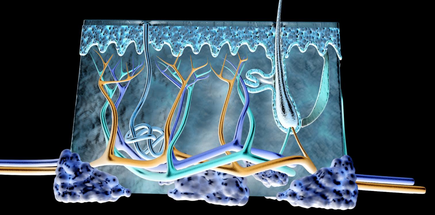 爱干净小常识,爱干净的四种习惯