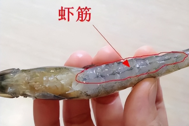 虾背上的虾线吃了会怎么样,虾线是虾的粪便吗可以吃吗