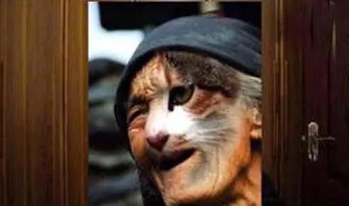 东北神秘事件之哈尔滨猫脸老太太