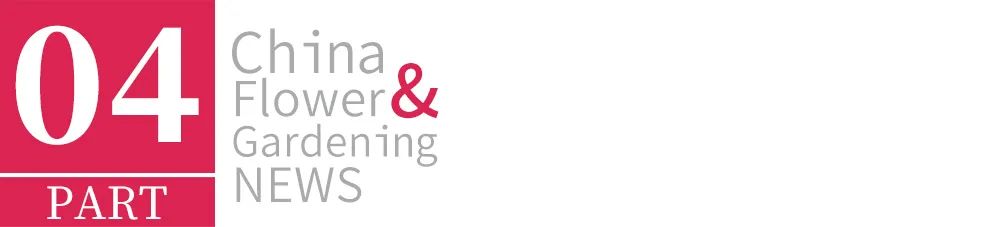 2022年苗市缓缓落幕，谁家欢喜谁家愁？