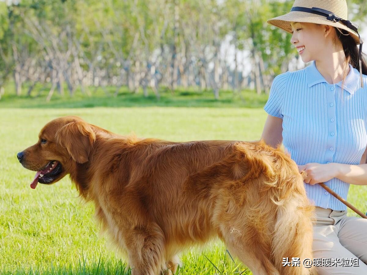 退休后如何对待养老金,退休有养老金不做三件事