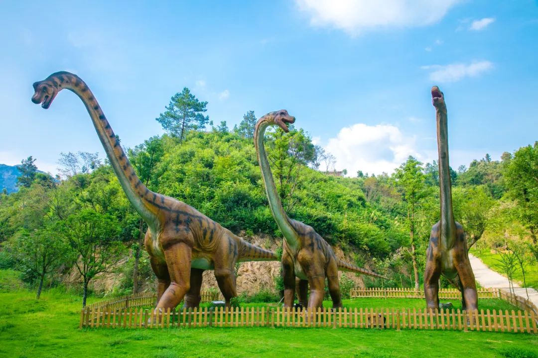 到咸宁看国宝过大年,离家45年的国宝回湖北咸宁过年