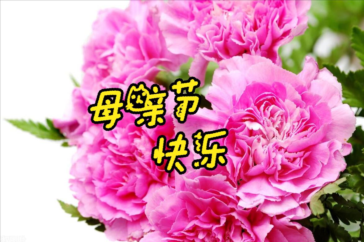 母亲节母爱胜过鲜花的美,感恩母亲节世界上唯有母爱最无私