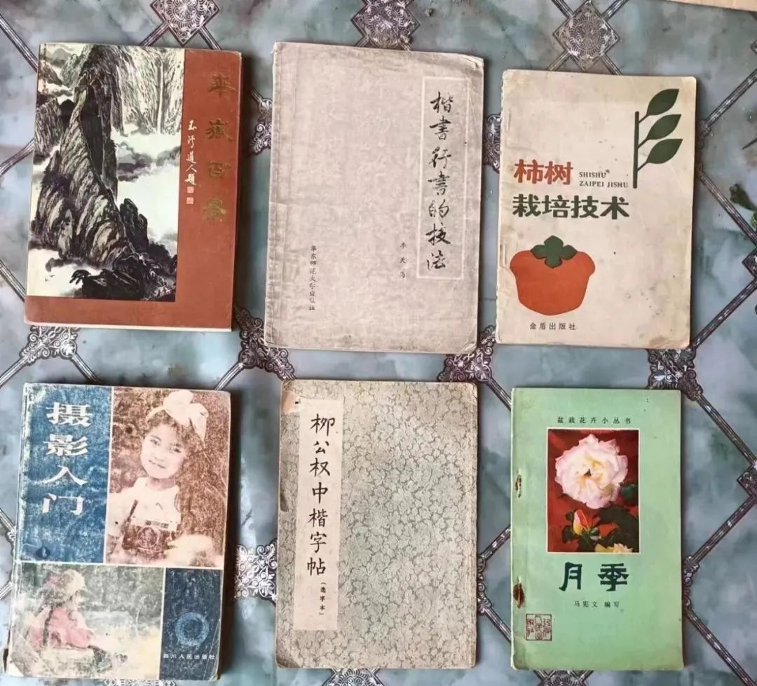 兴平马嵬路边的旧书摊勾起我的回忆...