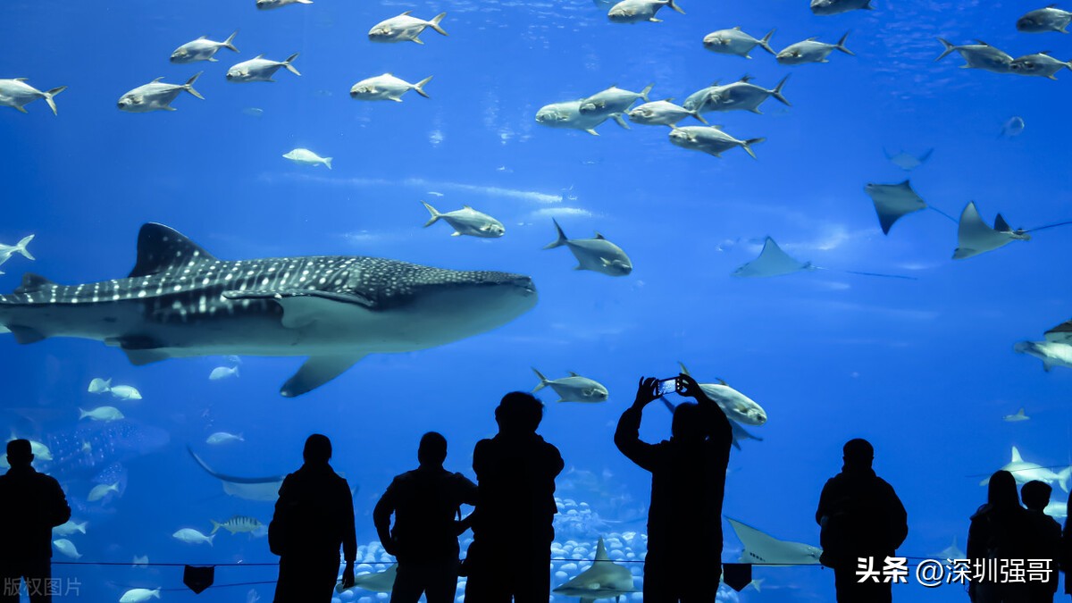 珠海旅游度假好去处,珠海度假20个好去处