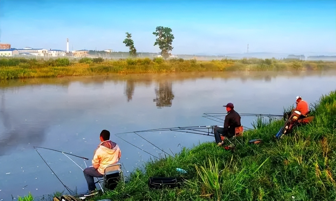 农村小杂鱼大全,农村5种不起眼的小杂鱼
