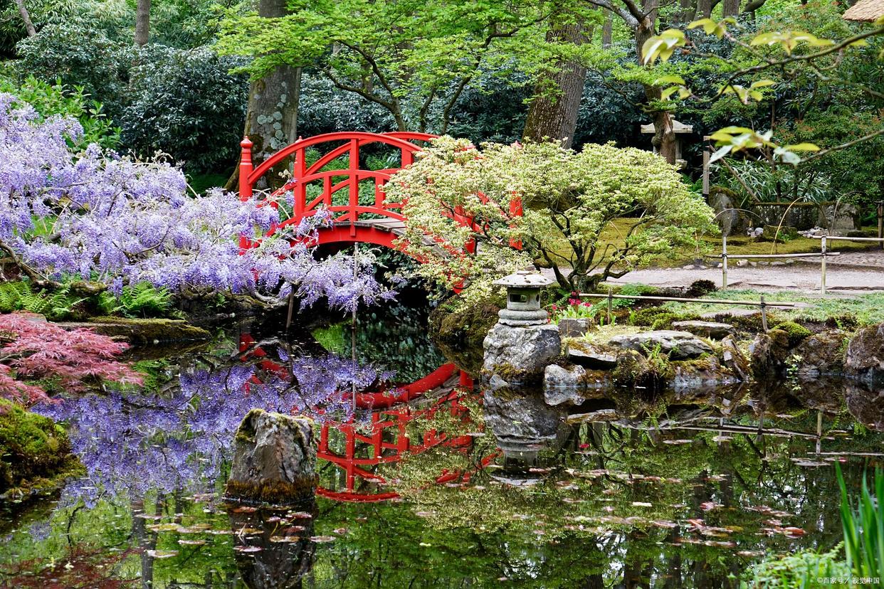 日本四国樱花季旅游攻略,几月份去日本看樱花旅游最合适呢