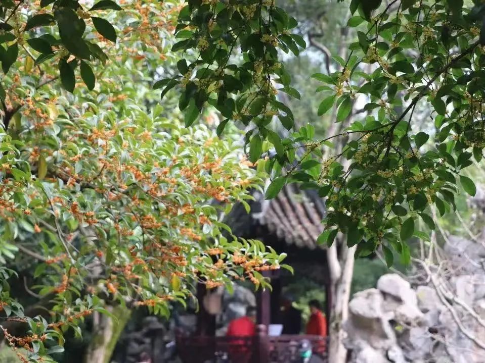 上海地铁直达的公园,上海最美公园地铁站