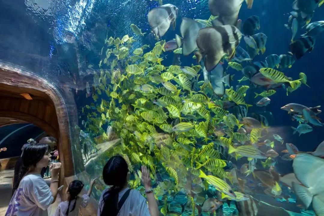 小精灵同款树屋绝了!遛娃的秘密基地,诗境家园里的度假圣地