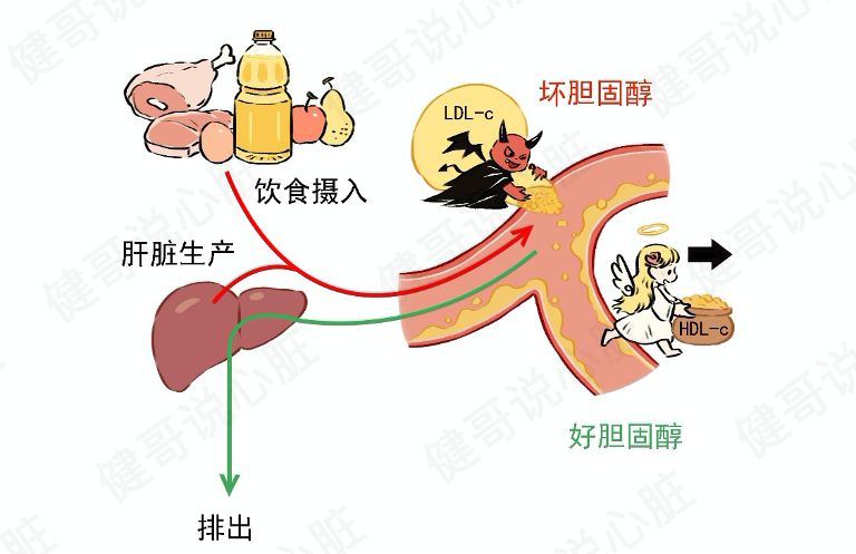胆固醇高要吃药降下来吗？