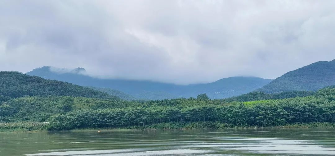 西双版纳七天六夜攻略,西双版纳五天六夜之旅完美结束