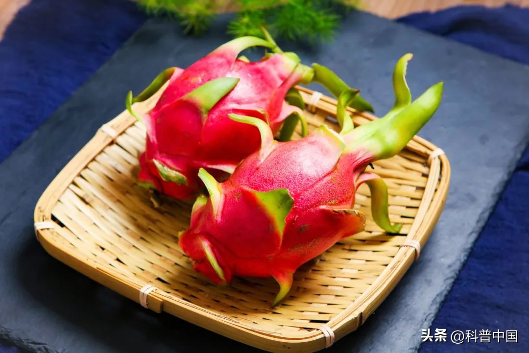 红心火龙果大便变红会持续几天,吃火龙果一小时后排便红色正常吗