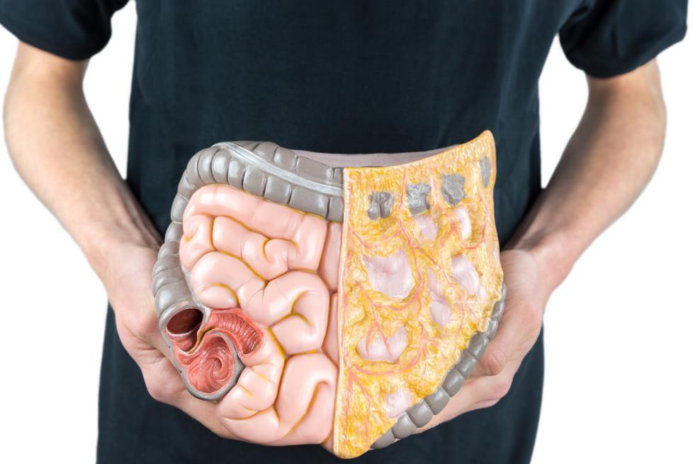 为什么女性肛裂频率更高,为什么女性比较容易肛裂