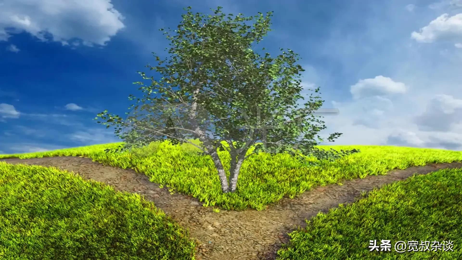 梦中想起死去的父亲而大哭,梦中想起去世了的父亲忍不住哭了