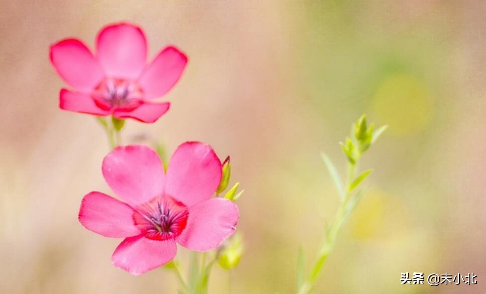 人生感悟最苦的句子,人生最苦的十年后的感悟