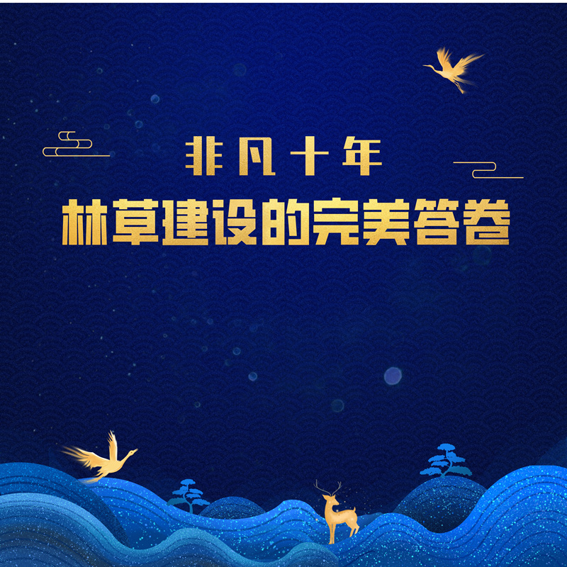 林草答卷,非凡十年的精彩答卷