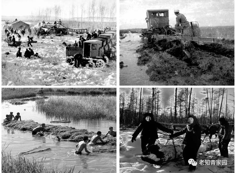 60年代中国人的生活视频,60年代生活记录完整版