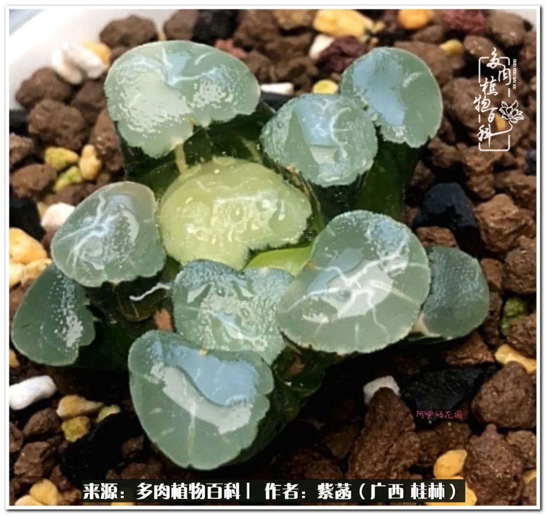 酷暑里的关爱，如十二卷般透亮绵长