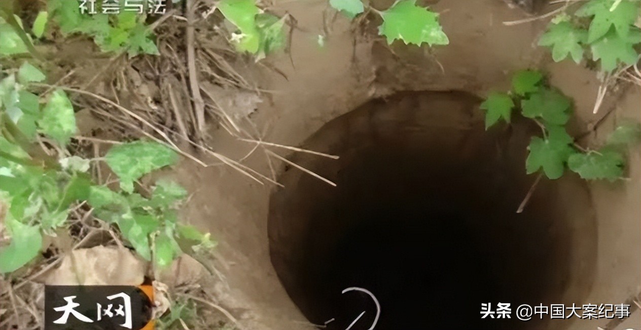 烟锁殡仪馆今日说法完整版,烟锁殡仪馆案