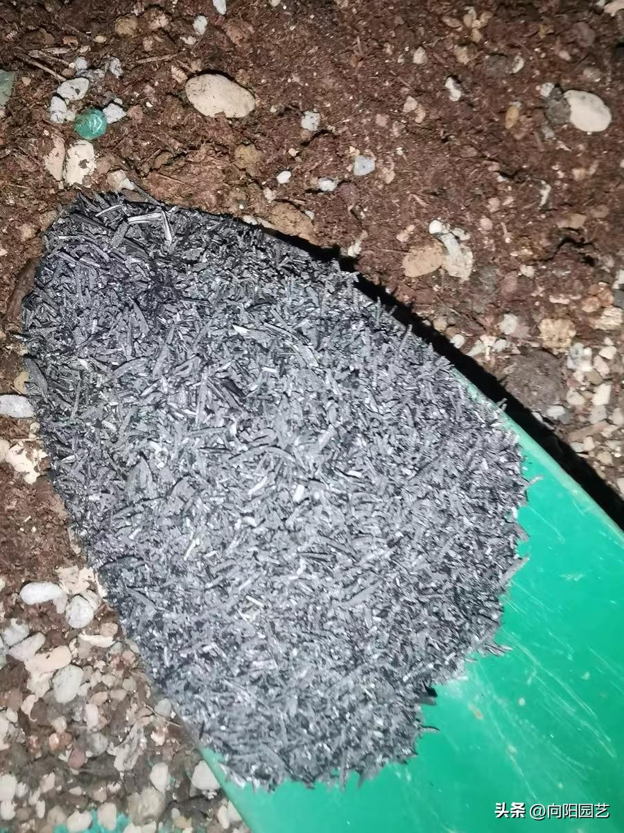 草木灰能根除土壤的病虫害吗,草木灰作用与防治方法