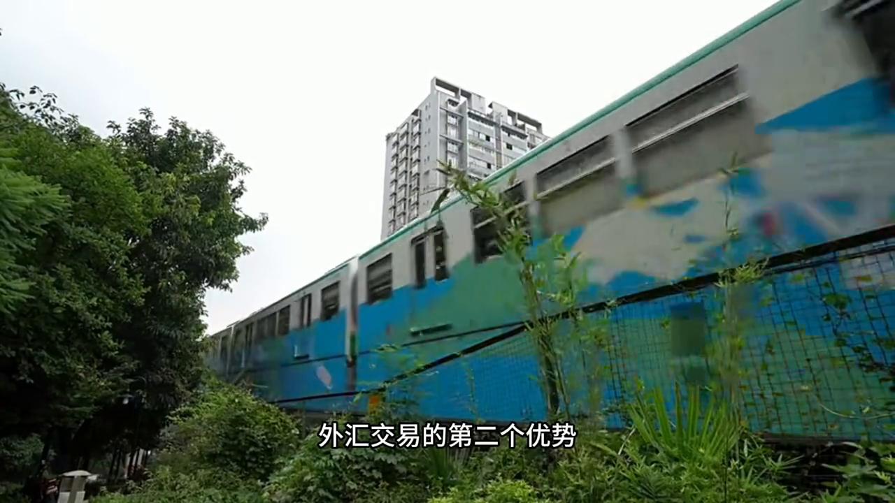 外汇股票投资组合,外汇投资与股票投资差异